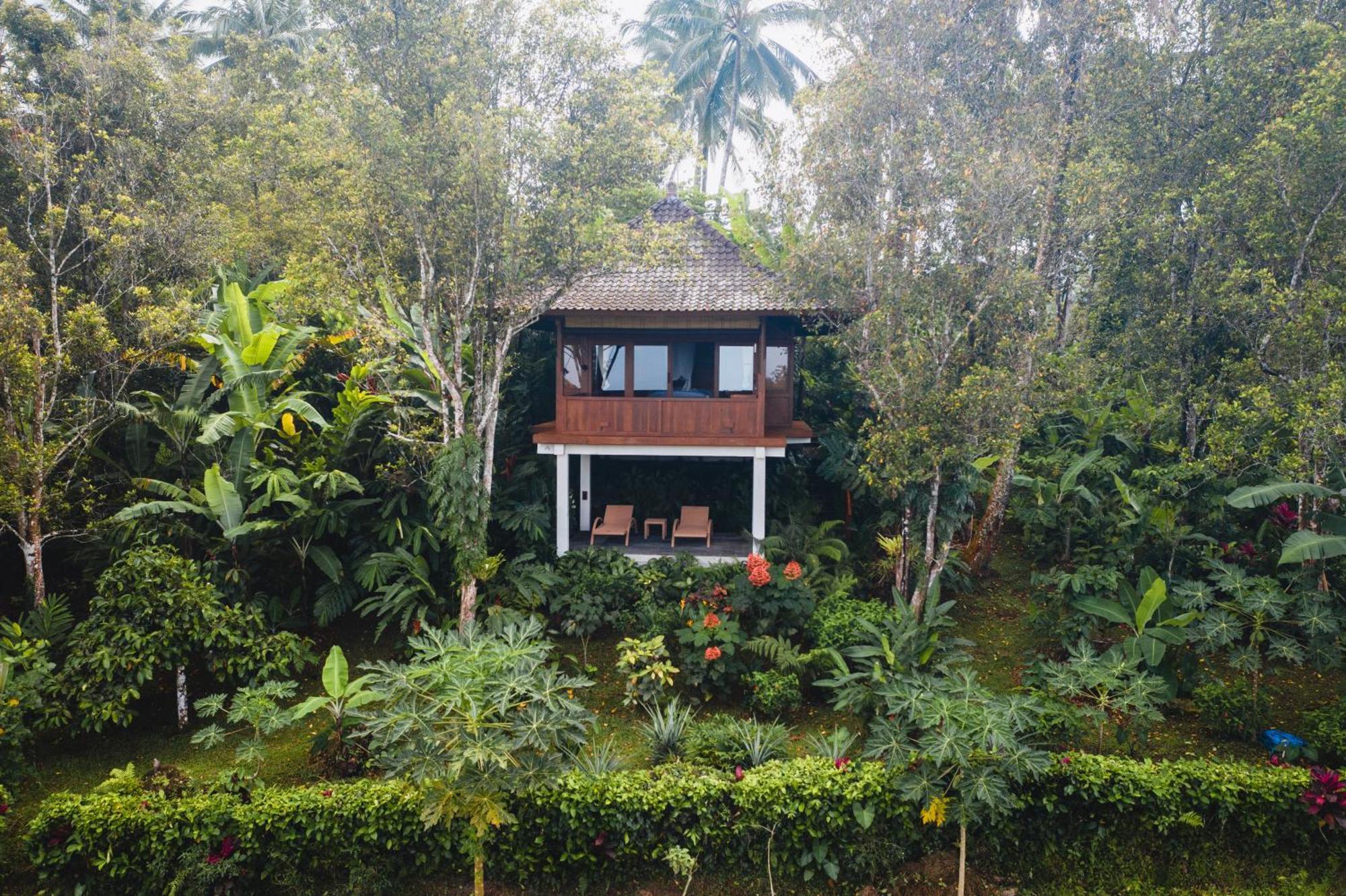 Clove Tree Hill Blimbing  Habitación foto